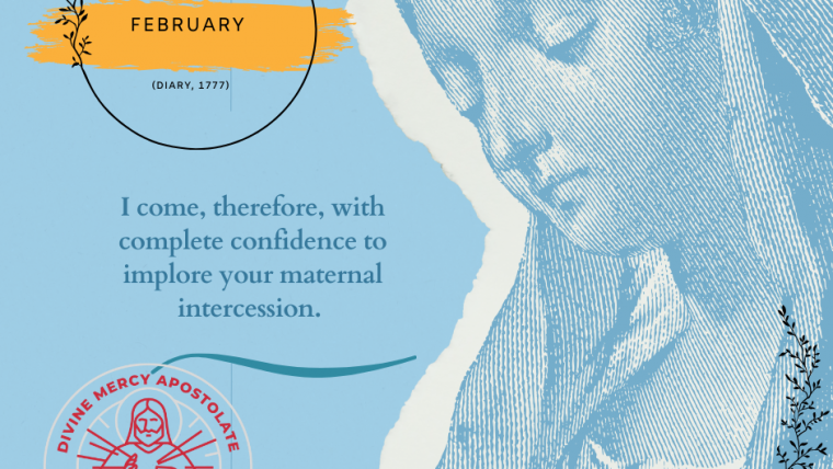 Newsletter / February 2026