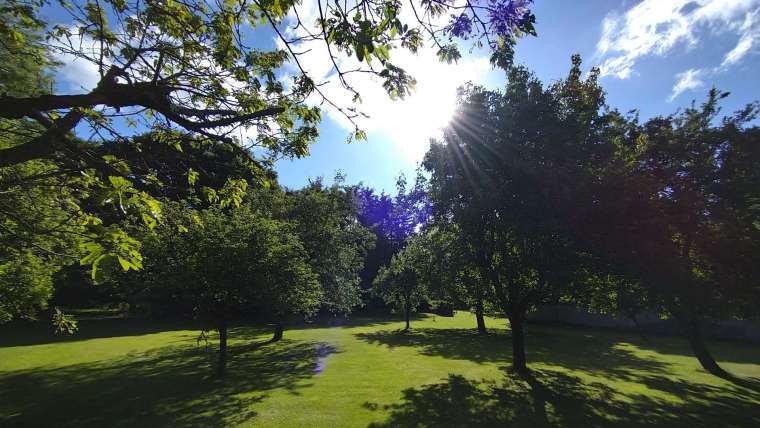 Pause & Prepare for Sunday, 15 March 2026