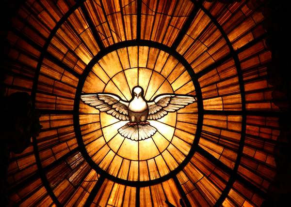 Pause & Prepare for the Sixth Sunday of Easter, 10 May 2026
