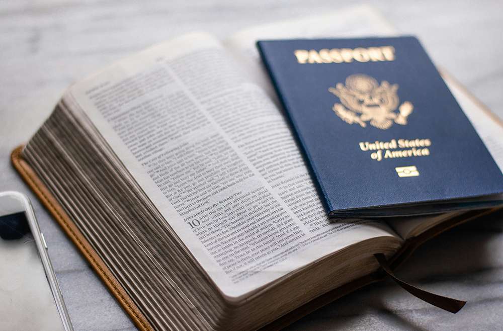 Reflection for 14 June 2026: 11th Sunday in Ordinary Time