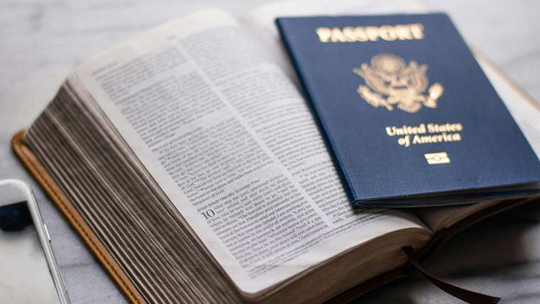 Reflection for 14 June 2026: 11th Sunday in Ordinary Time